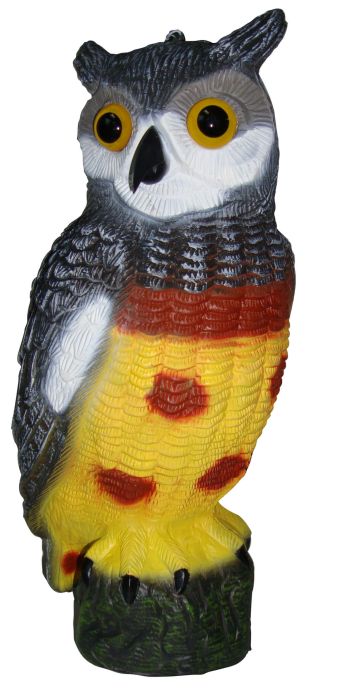 Blackspur Owl Bird Deterrent
