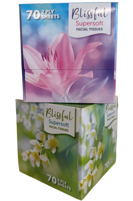 Blissful Cubed Supersoft Facial Tissues 70 Sheets 2 Ply