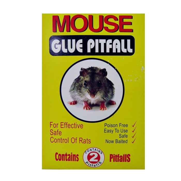 Mouse Glue Pitfall 2 pack