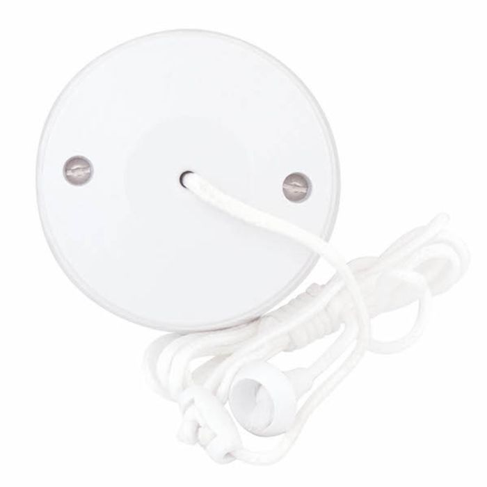 Selectric 10A Ceiling Switch 2 Way