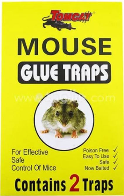 Mouse Glue Pitfall 2 pack