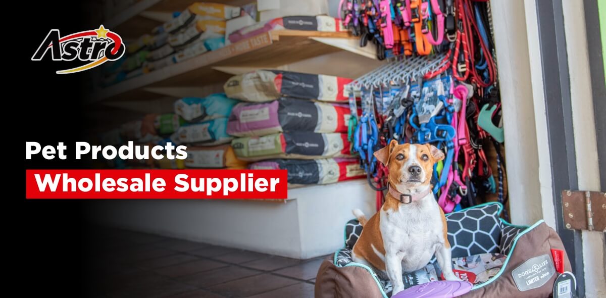 How to Choose the Right Wholesale Supplier for Your Pet Products Business in the UK?