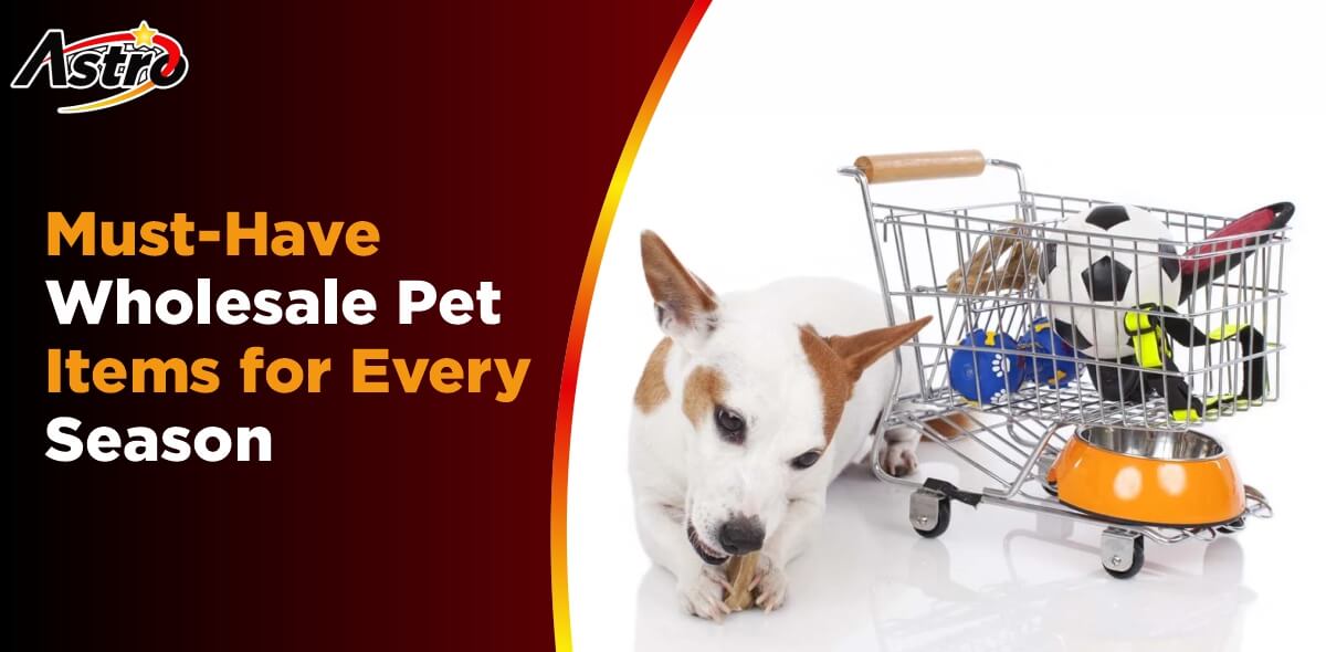 Must-Have Wholesale Pet Items for Every Season